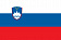 Словения флаг
